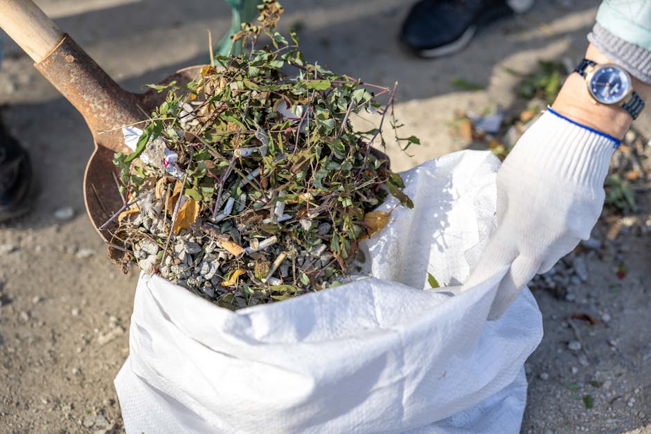 Belmont Village guide to rubbish removal services